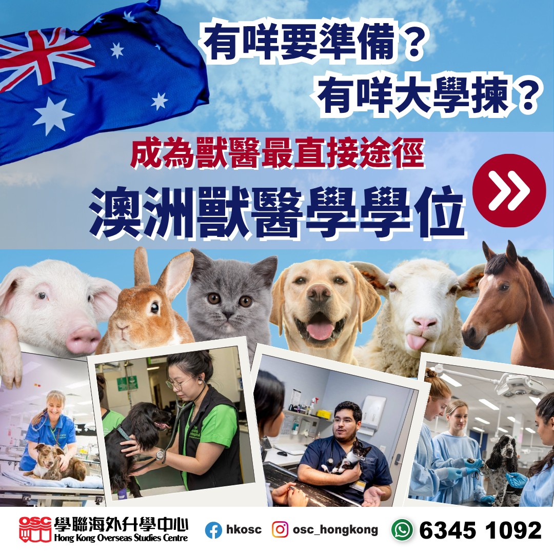 鍾意照顧動物,想成為獸醫?澳洲獸醫課程助您圓夢!