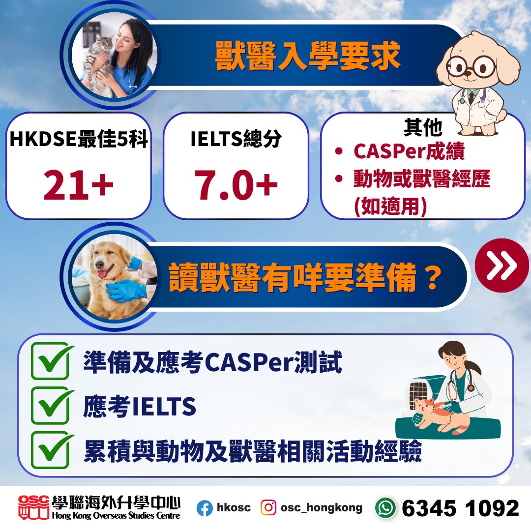 鍾意照顧動物,想成為獸醫?澳洲獸醫課程助您圓夢!