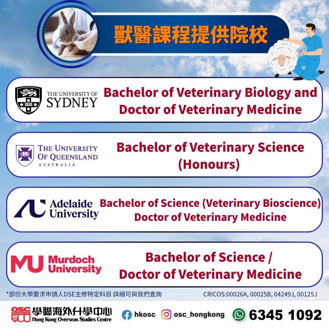 鍾意照顧動物,想成為獸醫?澳洲獸醫課程助您圓夢!